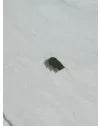 Load image into Gallery viewer, 13961SS/            Parker 32 Mint
