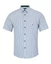 DG's Drifter Ivano Stripe Shirt Green