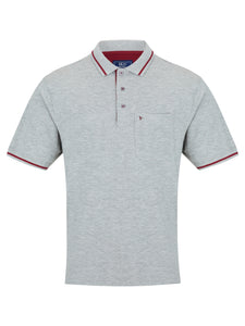55101/Plain             Polo 03 Lt Grey