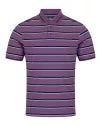 Load image into Gallery viewer, 55356/Stripe        Polo Purple
