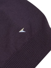 Load image into Gallery viewer, DG&#39;s Drifter V-neck Sweater Purple
