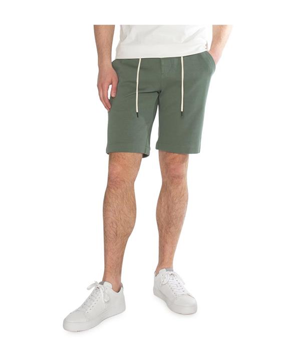 Scotland Blue Chino Shorts